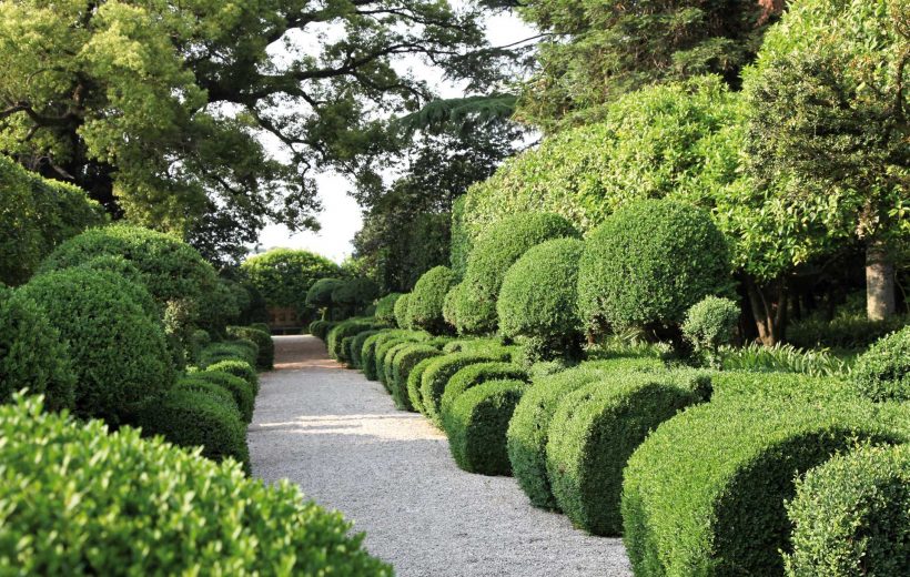 Guided Tour of Palazzo Mondo and Villa Guevara Garden