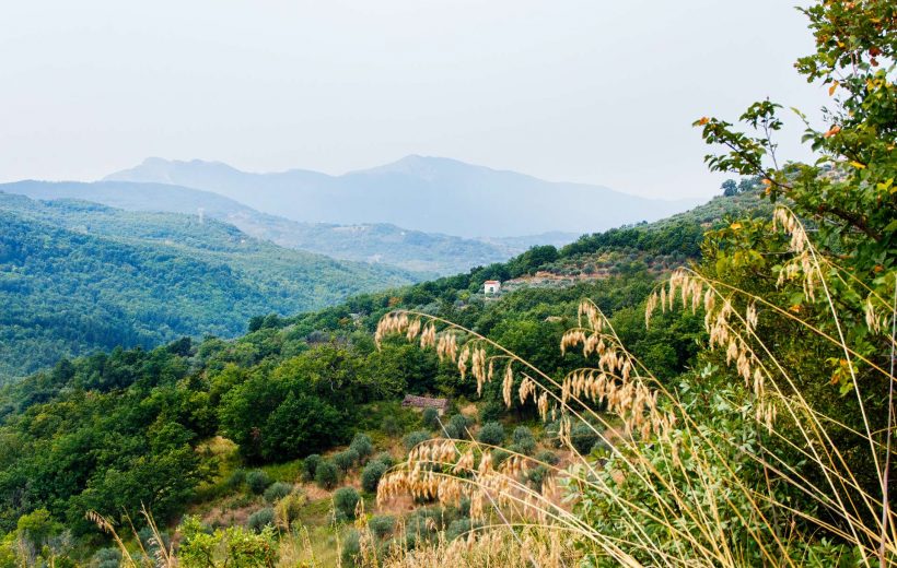 Cilento: a multi-sensory experience surrounded by history, nature, and tastes