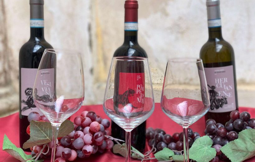 Royal Wine Tasting: percorso sul mondo del vino con degustazione
