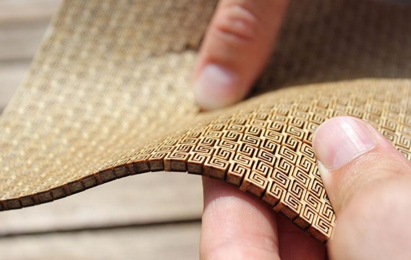 Workshop on Laser Wood